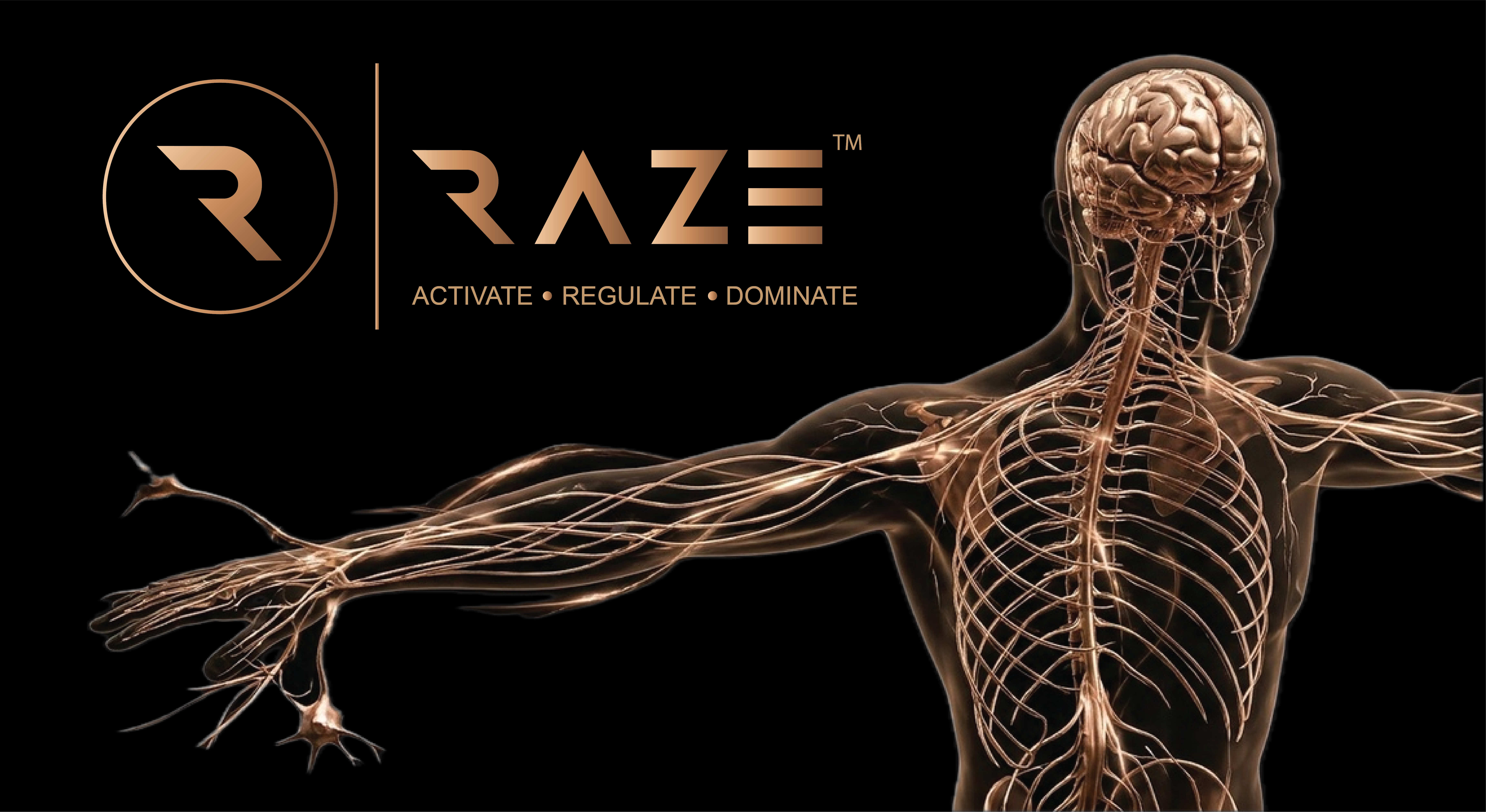RAZE — the nervous system, illuminated